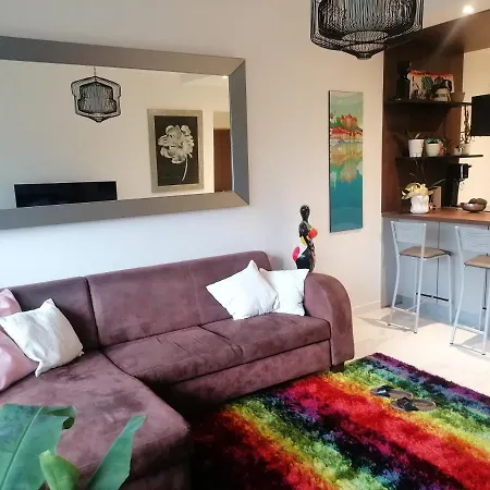 Apartment Des Cygnes *
