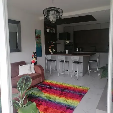 Des Cygnes Apartment *